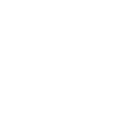 Fog Formula
